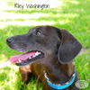 Riley Washington