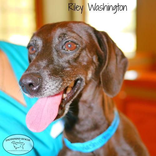 Riley Washington