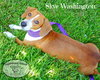 Skye Washington