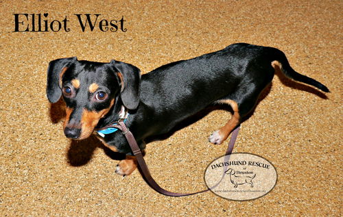 Elliot West