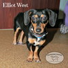 Elliot West