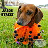 Jason Street