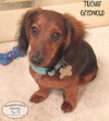 Tucker Griswold