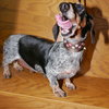 Starr Kipling