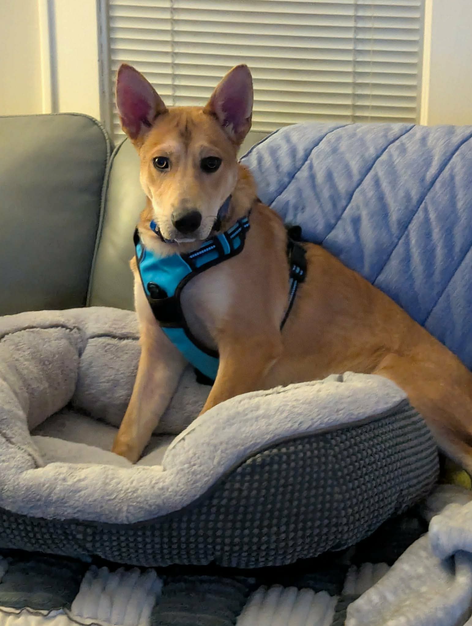 Max