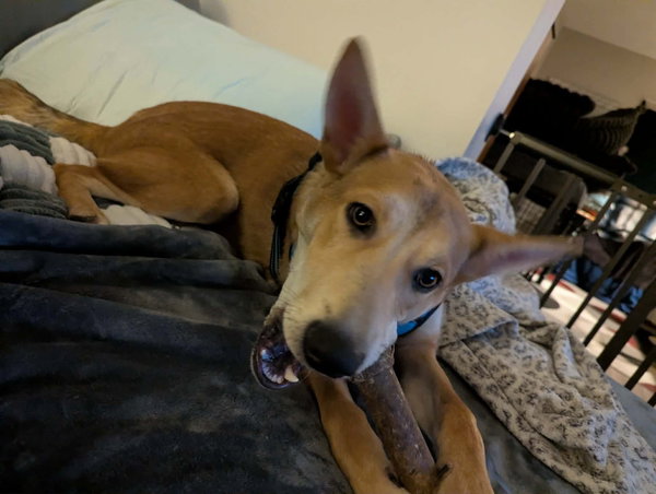 Max