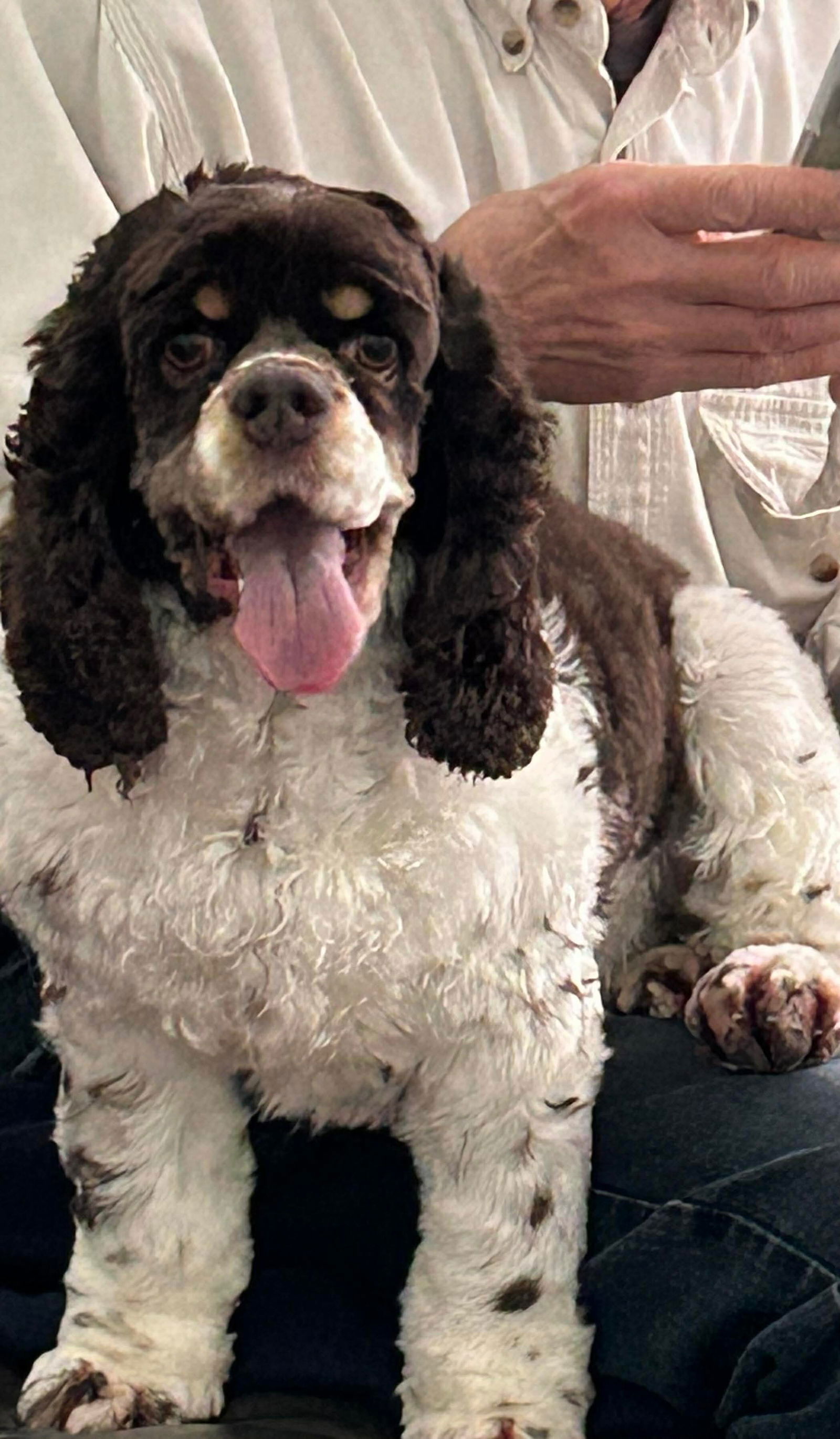 Posey (Bonded Pair with Cash)