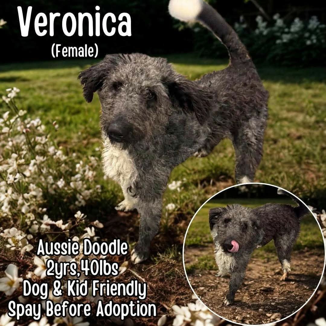 Veronica