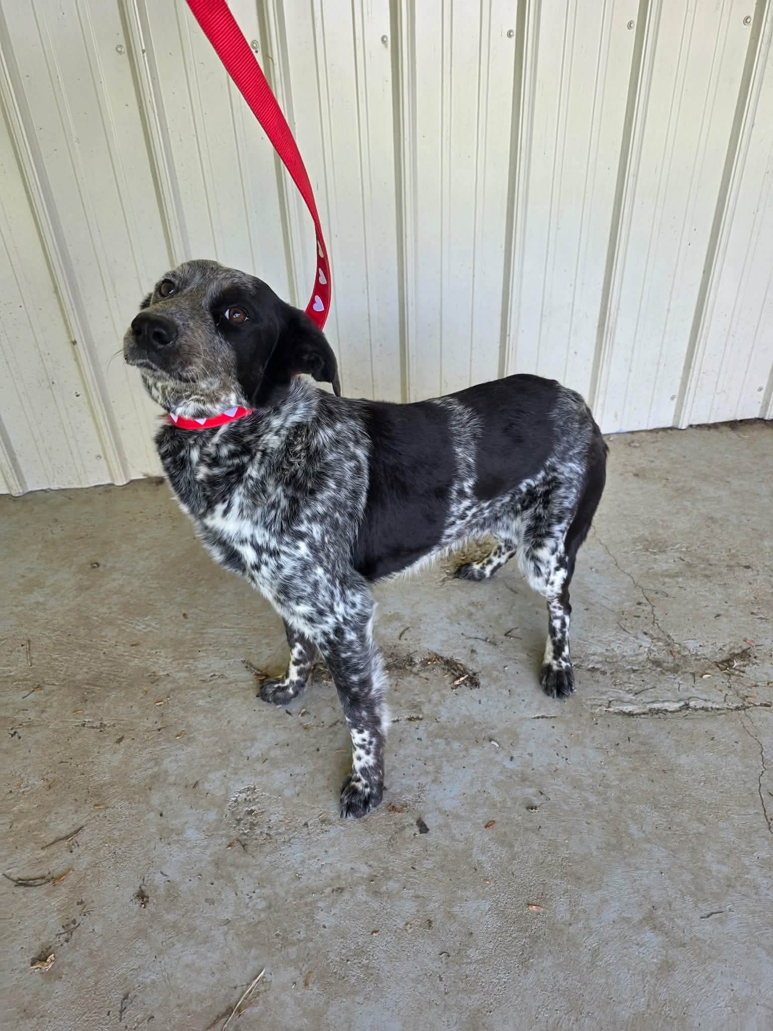 Ellie Mae