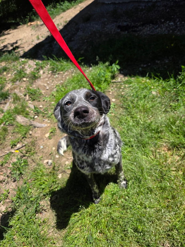 Ellie Mae