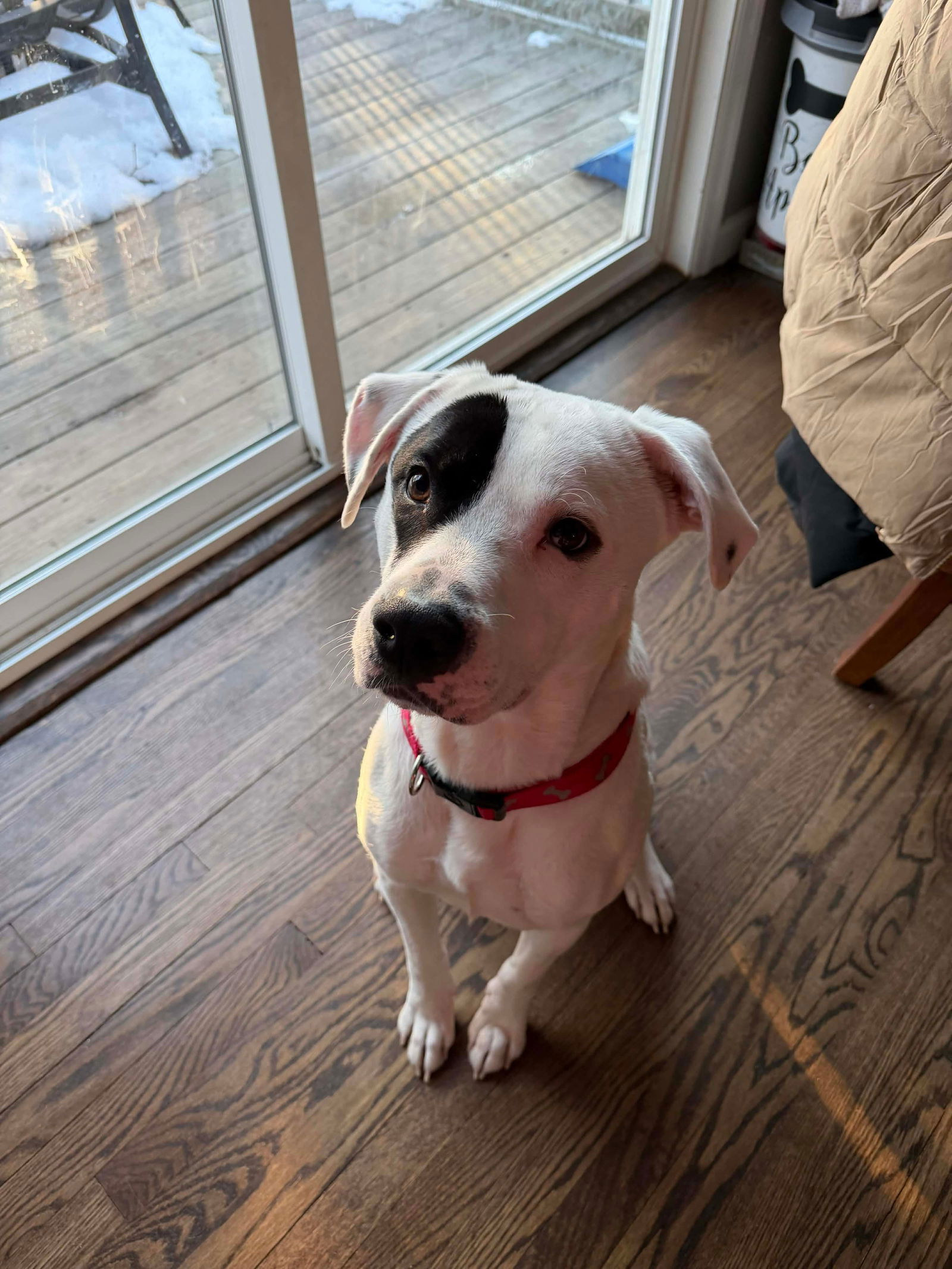 Petey