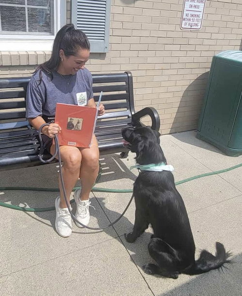 Bart (Foster or Adopter Needed) photo 5