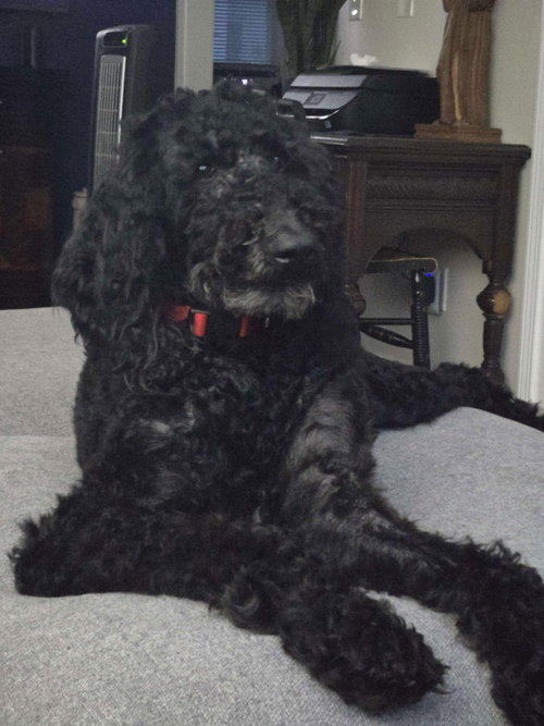 Nala photo 5