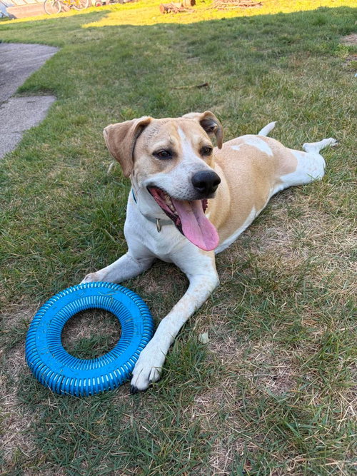 Cooper photo 4