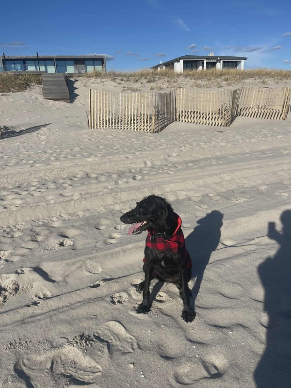 Nala