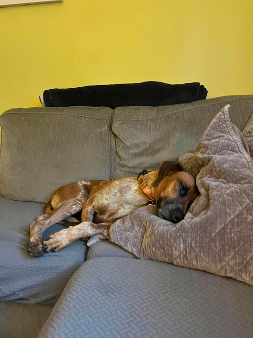 Ottis photo 7