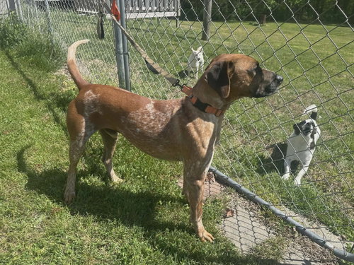 Ottis photo 9