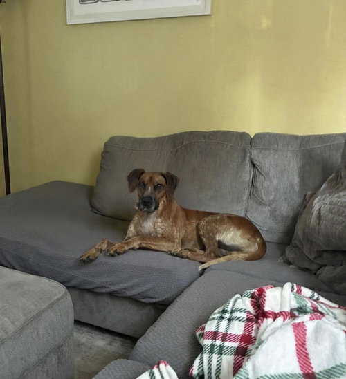 Ottis photo 10