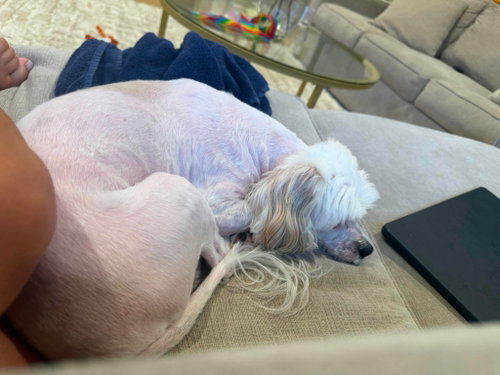 Maggie, photo 4