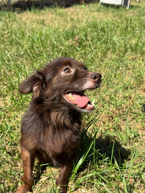Photo 2 of Cocoa