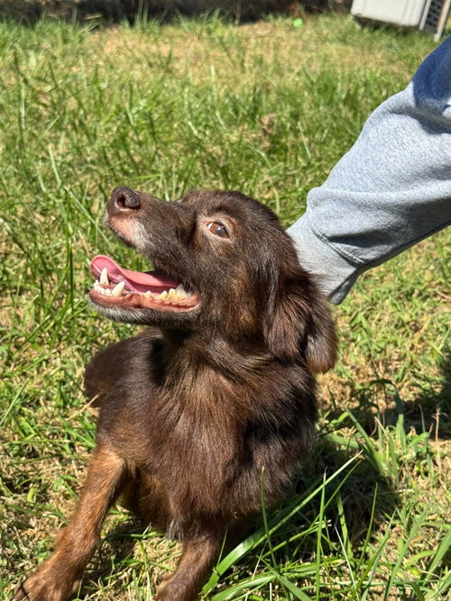 Photo 3 of Cocoa