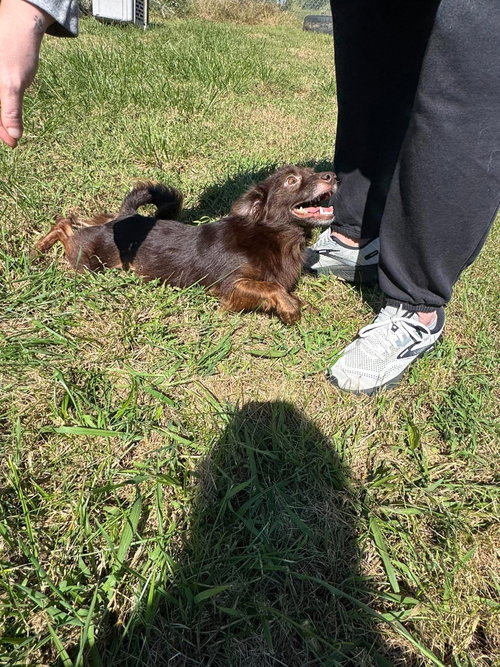 Photo 4 of Cocoa