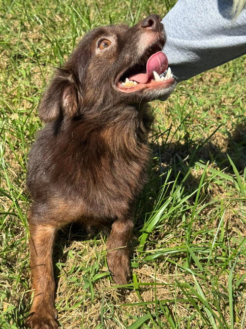 Photo 5 of Cocoa