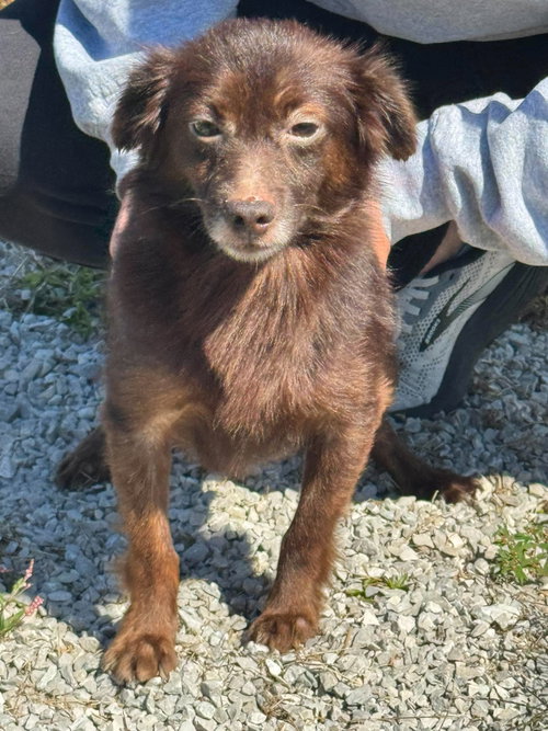Photo 6 of Cocoa