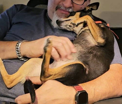 Photo 5 of Trixie