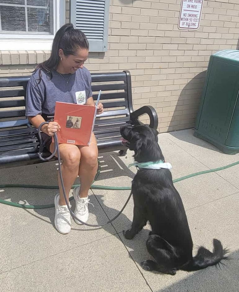 Bart (Foster or Adopter needed!), photo 5