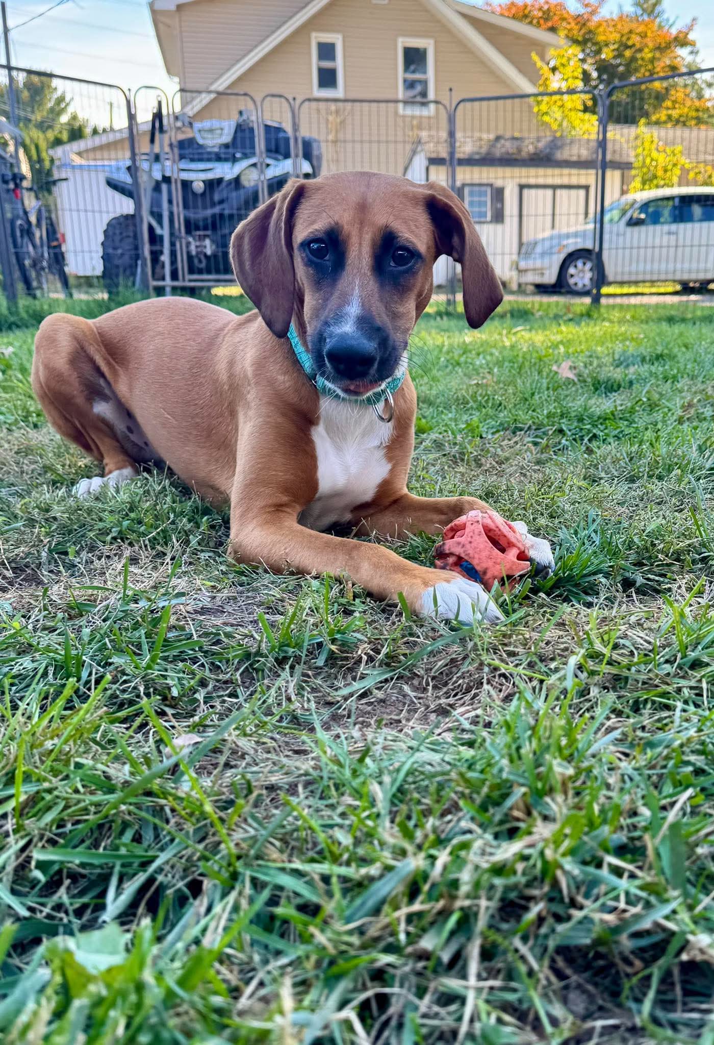 Fred, photo 6