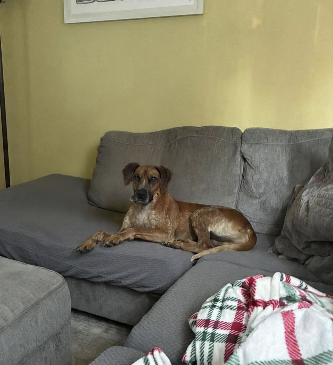 Ottis, photo 10