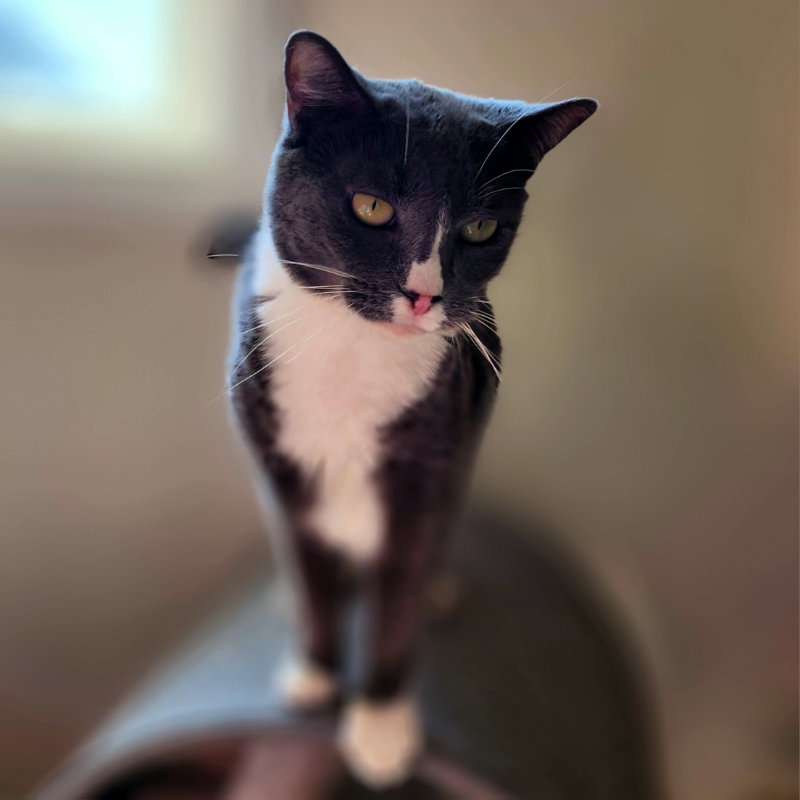 Rita