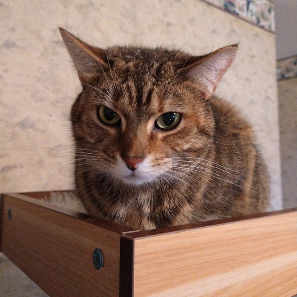 Milly