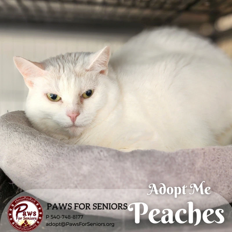 Peaches