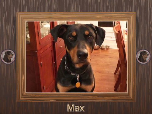 Max