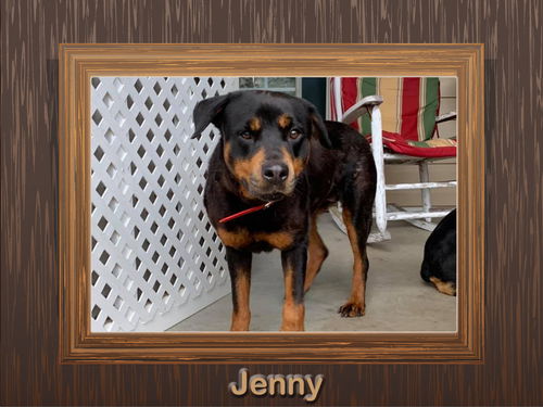 Jenny