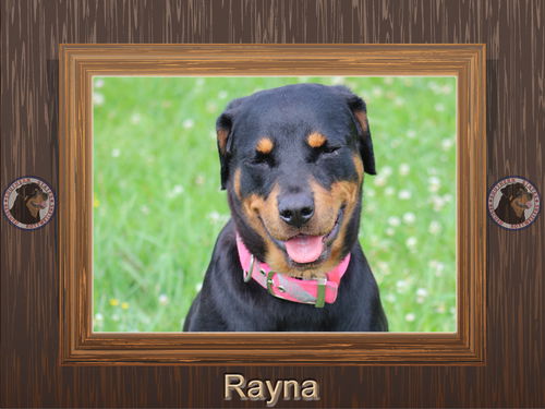 Rayna