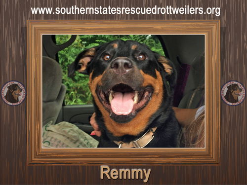 Remmy