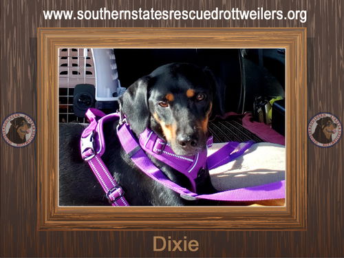 Dixie