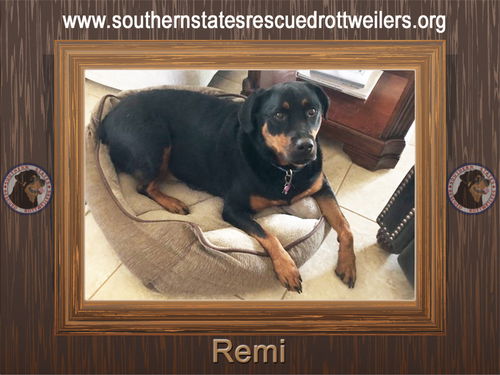 Remi