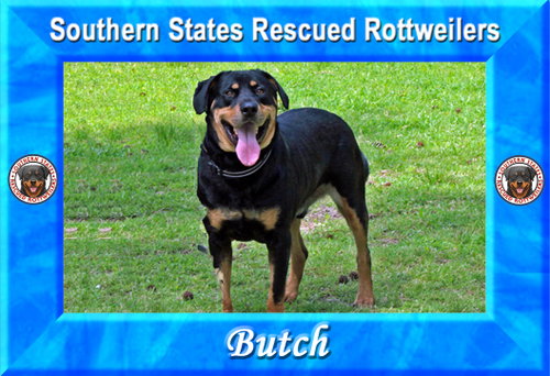 Butch