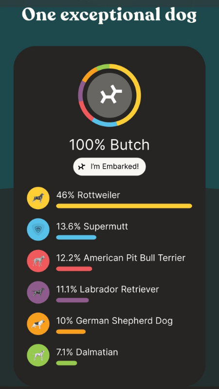 Butch