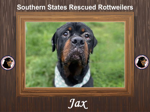 Jax