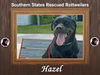 Hazel