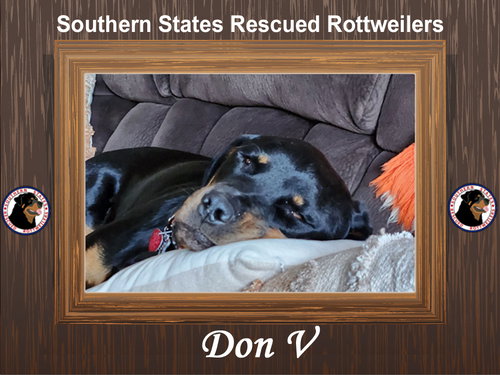 Don V
