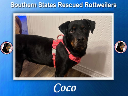 Coco