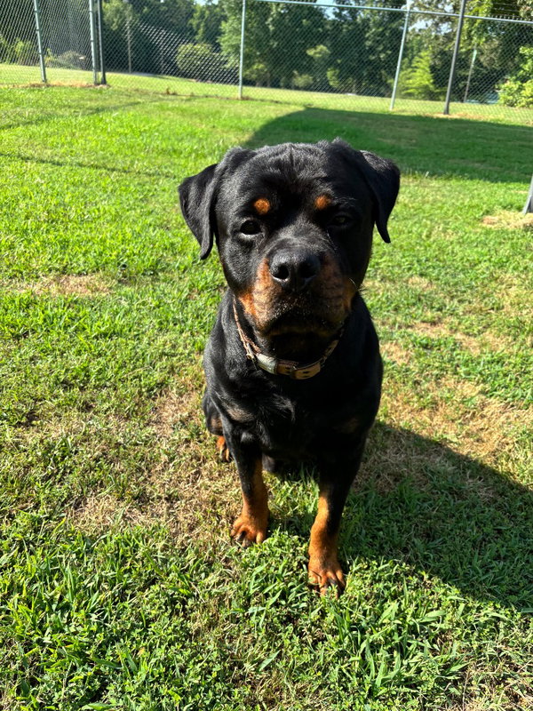 Axel