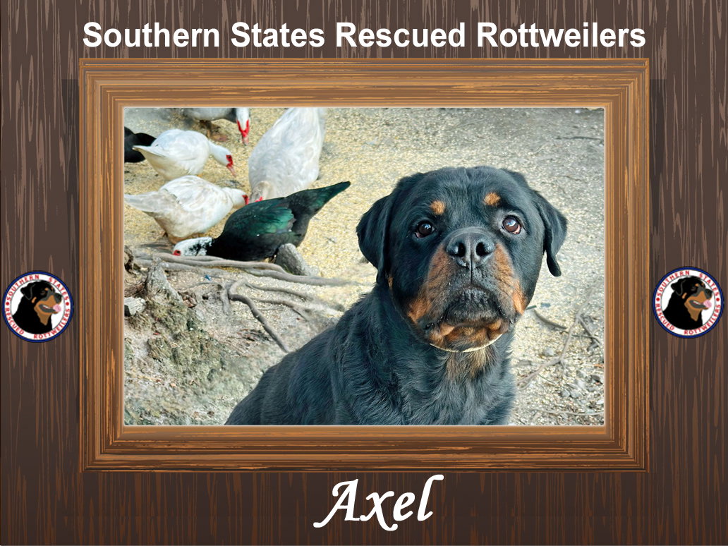 Axel