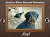 Axel